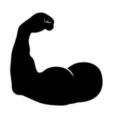 動物画像無料 50 筋肉 イラスト フリー