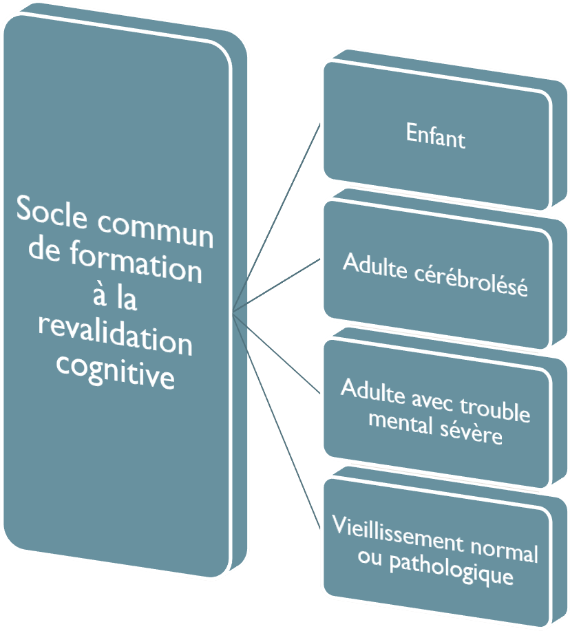 Exemple Lettre De Motivation Stage Neuropsychologie ...
