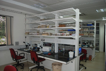 A biograd laboratory training course ran at the science park in liverpool. Iiser Pune