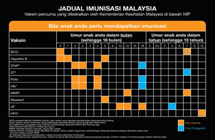 Kesan Ubat Demam Pada Kanak Kanak - Ngawi SEO