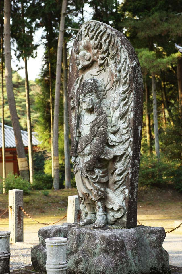 コレクション 不動明王 壁紙 壁紙 不動明王 待ち受け 効果