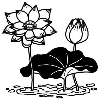 ベスト かっこいい 蓮 蓮の花 イラスト モノクロ 最高の新しい壁紙aahd