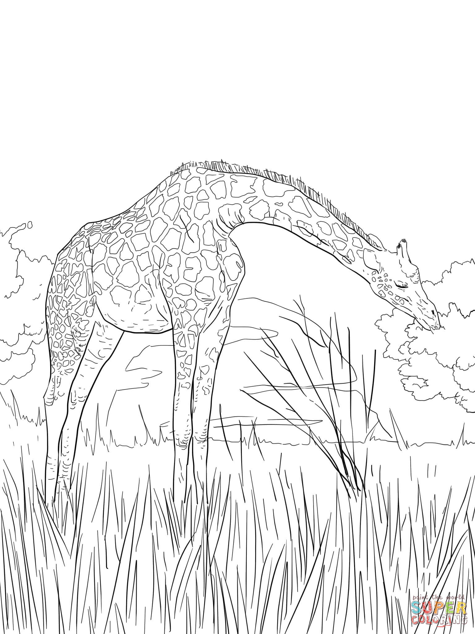 Download Giraffe Pictures To Color For Kids