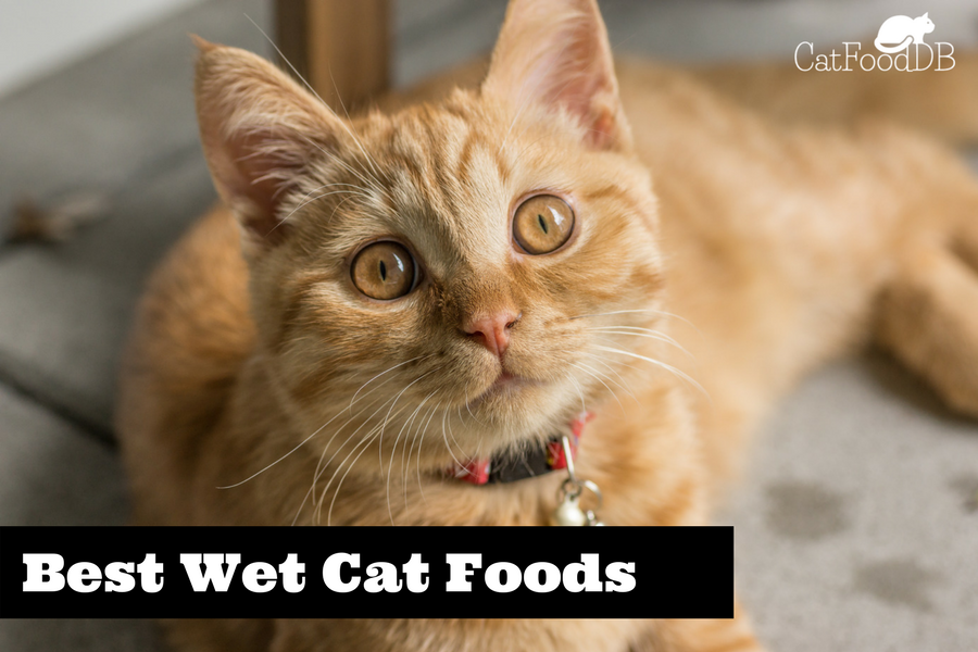 For discerning cats, the best wet cat food has to be the purina pro plan 'savor' range. Catfooddb S Best Wet Cat Foods 2021