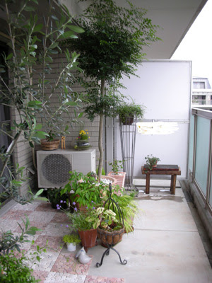 すべての美しい花の画像 トップ100 ベランダ 鉢植え 木 おすすめ
