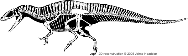 Maybe you would like to learn more about one of these? Most Currently Accurate Acrocanthosaurus And Archaeopteryx Toy Models