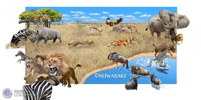 動物画像無料 ロイヤリティフリーライオン イラスト リアル