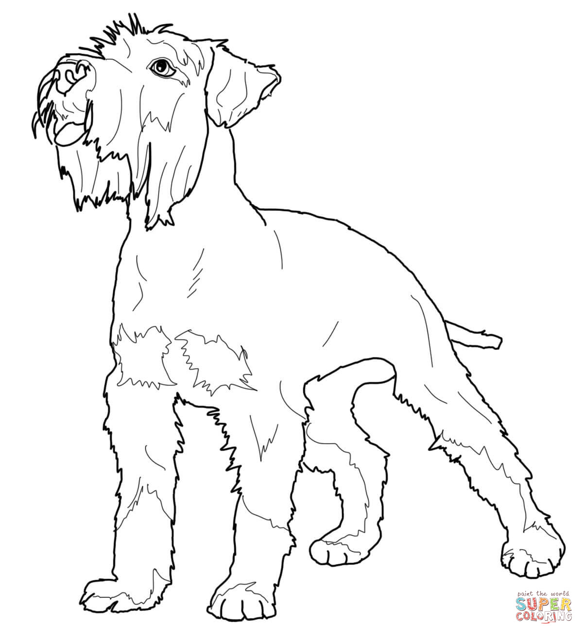 You could also print the image while using the tibetan mastiff coloring pages printable. Free Drawn Printable Image Of Full Size Poodle Download Free Clip Art Free Clip Art On Clipart Library