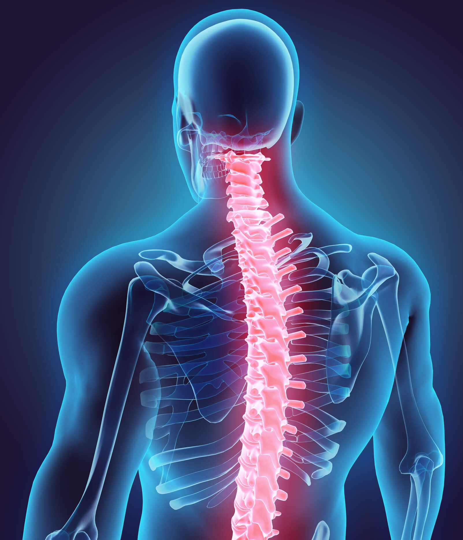 The left kidney, small intestine and descending colon are all found at the lower left side of the back, also known as the left lumbar region. Middle And Upper Thoracic Back Pain