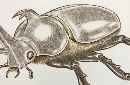 ブランド品専門の Rhino 絵画 イラスト 色鉛筆 クレパス 色鉛筆 ペン Jaymoorestudio Com