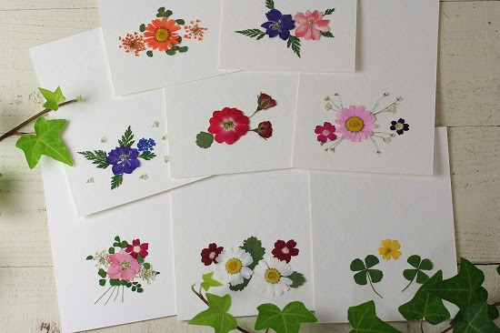 最も気に入った 朝顔 押し花 しおり 作り方 トップ新しい画像
