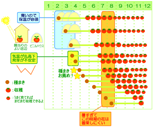 ベスト 花 種まき 時期 一覧 表 花 種まき 時期 一覧 表