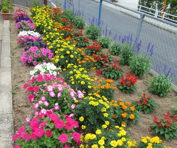 [最も好ましい] 花壇 花 おすすめ 207186-花壇 花 おすすめ 春夏秋冬
