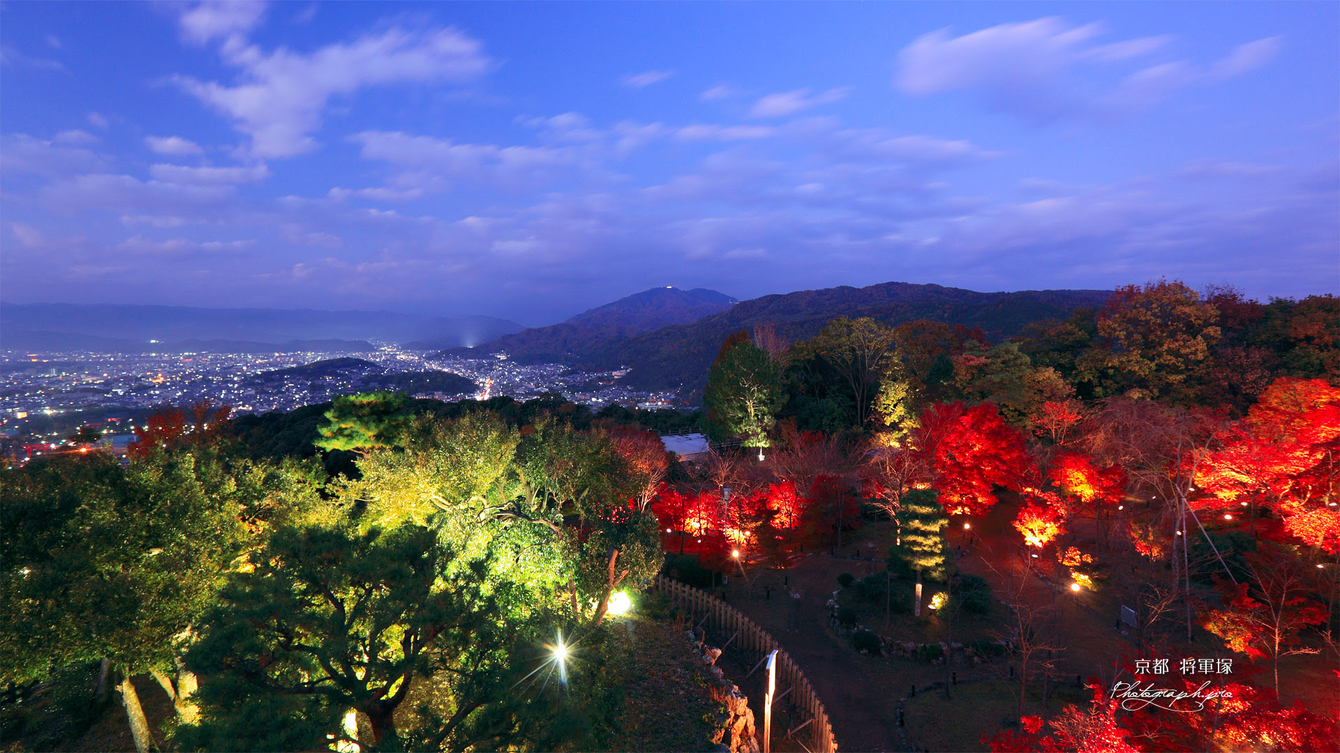 トップ100壁紙 夜景 19x1080 最高の花の画像