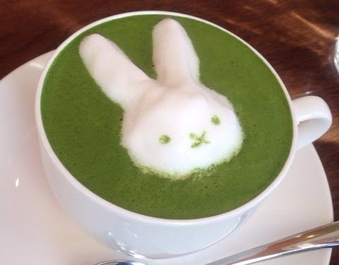 藤枝 ランチ おしゃれ 藤枝 ランチ お洒落