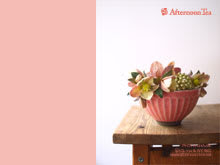 年の最高 Afternoon Tea 壁紙 Hdの壁紙 無料 Itukabegami