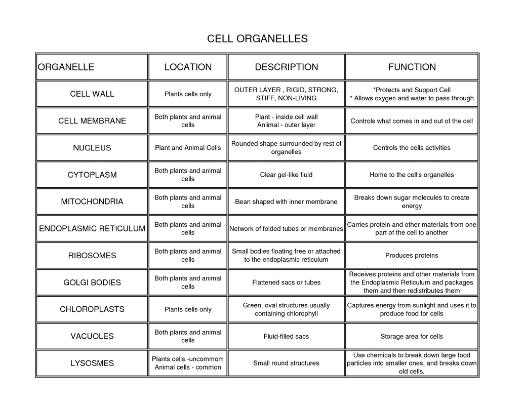Maybe you would like to learn more about one of these? Structure And Function Stolp S Science