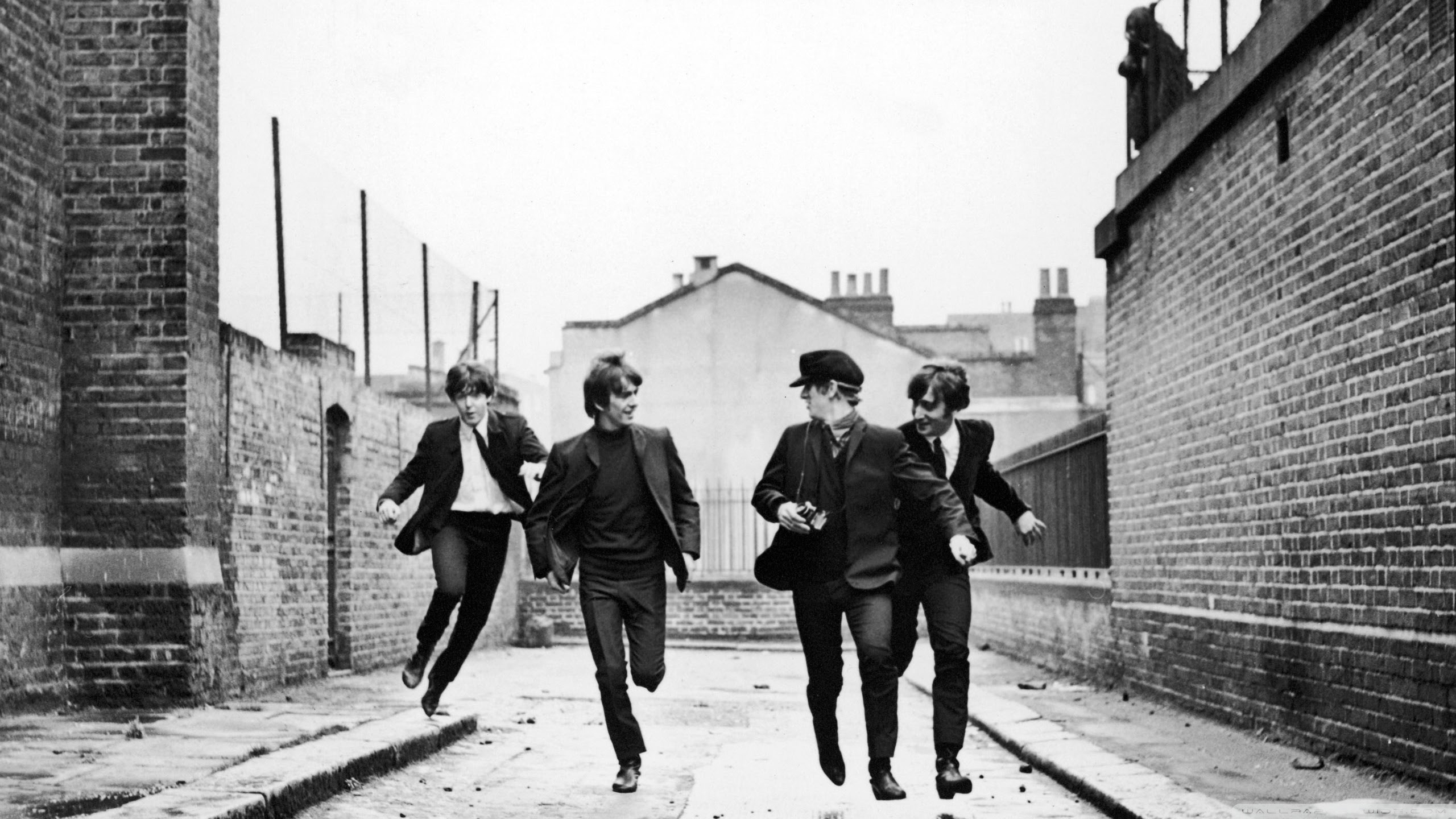 最高のthe Beatles 壁紙 最高の花の画像