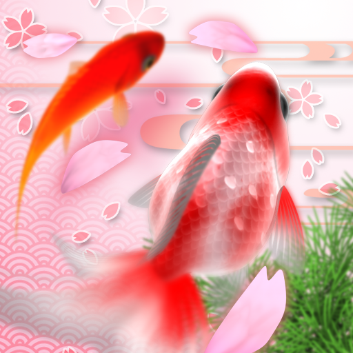 ぜいたく金魚 上から イラスト リアル アニメ画像
