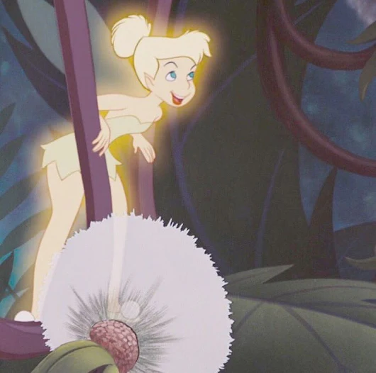 my sassy #1 disney girl since childhood. plus, unpopular opinion, but fairies are better than mermaids