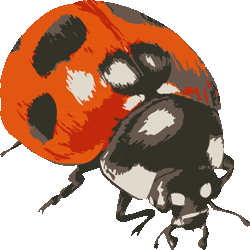 美しい花の画像 ユニーク虫 イラスト リアル