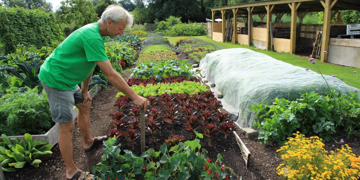 Check spelling or type a new query. Charles Dowding S Vegetable Garden Diary The Wonderful Garden Company