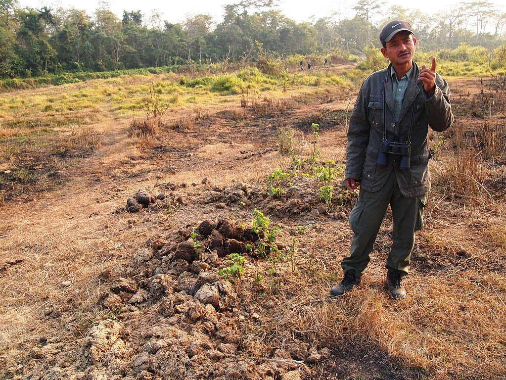 chitwan national park + elephant breeding center