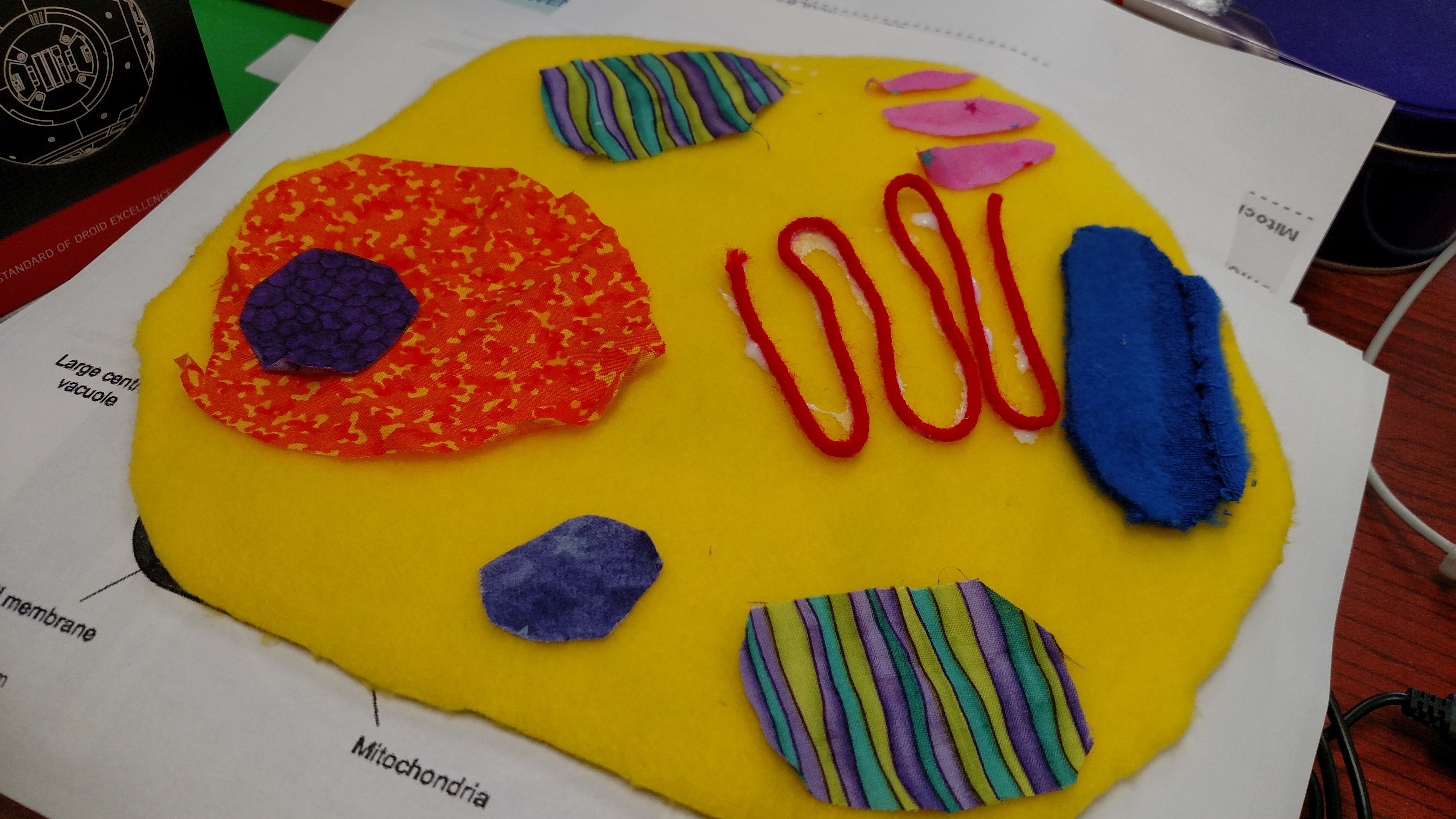 Theme spelling word list worksheets. Making Cell Fies Tech For Teachers