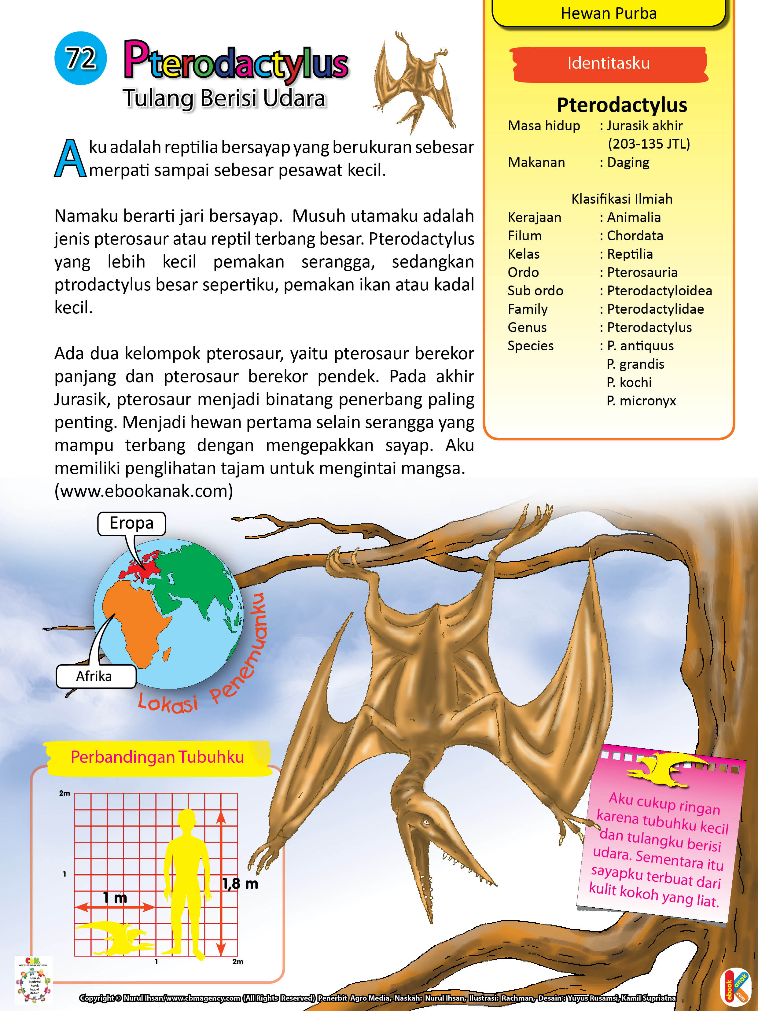 Gambar Ilustrasi Hewan  Udara  Iluszi