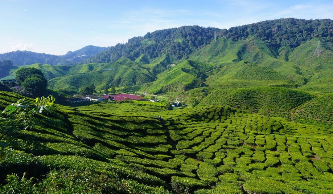 raub to cameron highland