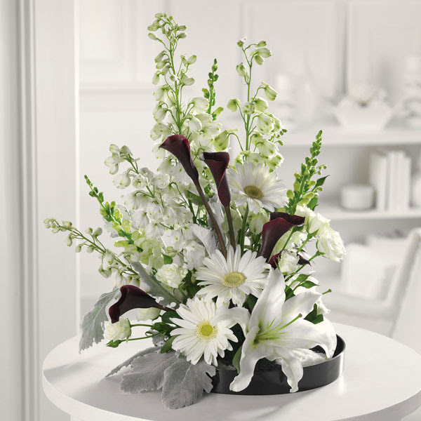 Maybe you would like to learn more about one of these? Divine Mercy Flowers