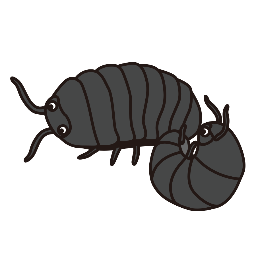 新鮮なダンゴムシ イラスト かわいい動物画像