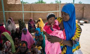 Mujeres en Níger reciben asistencia y asesoría de la ONU para alimentar a sus hijos.