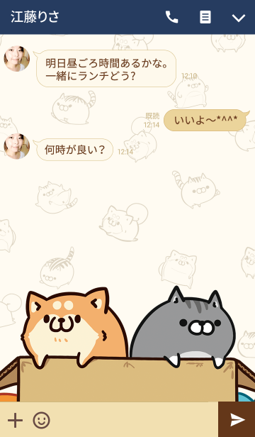 最新 ボンレス猫 壁紙 無料のhd壁紙 Joskabegami