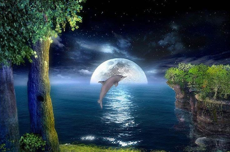 21 Nature Wallpaper 3d Live Basty Wallpaper