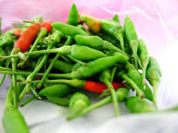 Kupang masak cili padi