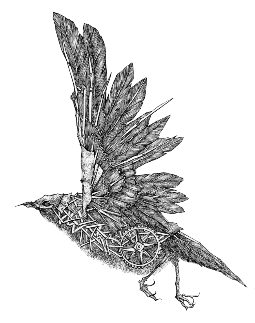 これまでで最高の鳥 かっこいい イラスト イラスト画像