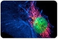 Super-Resolution Fluorescence Microscopy