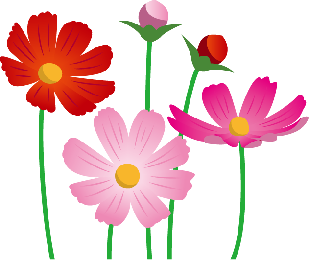 美しい花の画像 新鮮なかわいい コスモス イラスト フリー