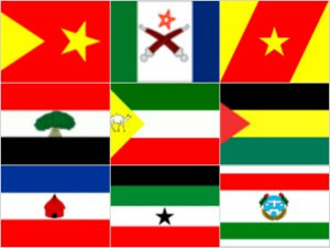 FDRE States flags
