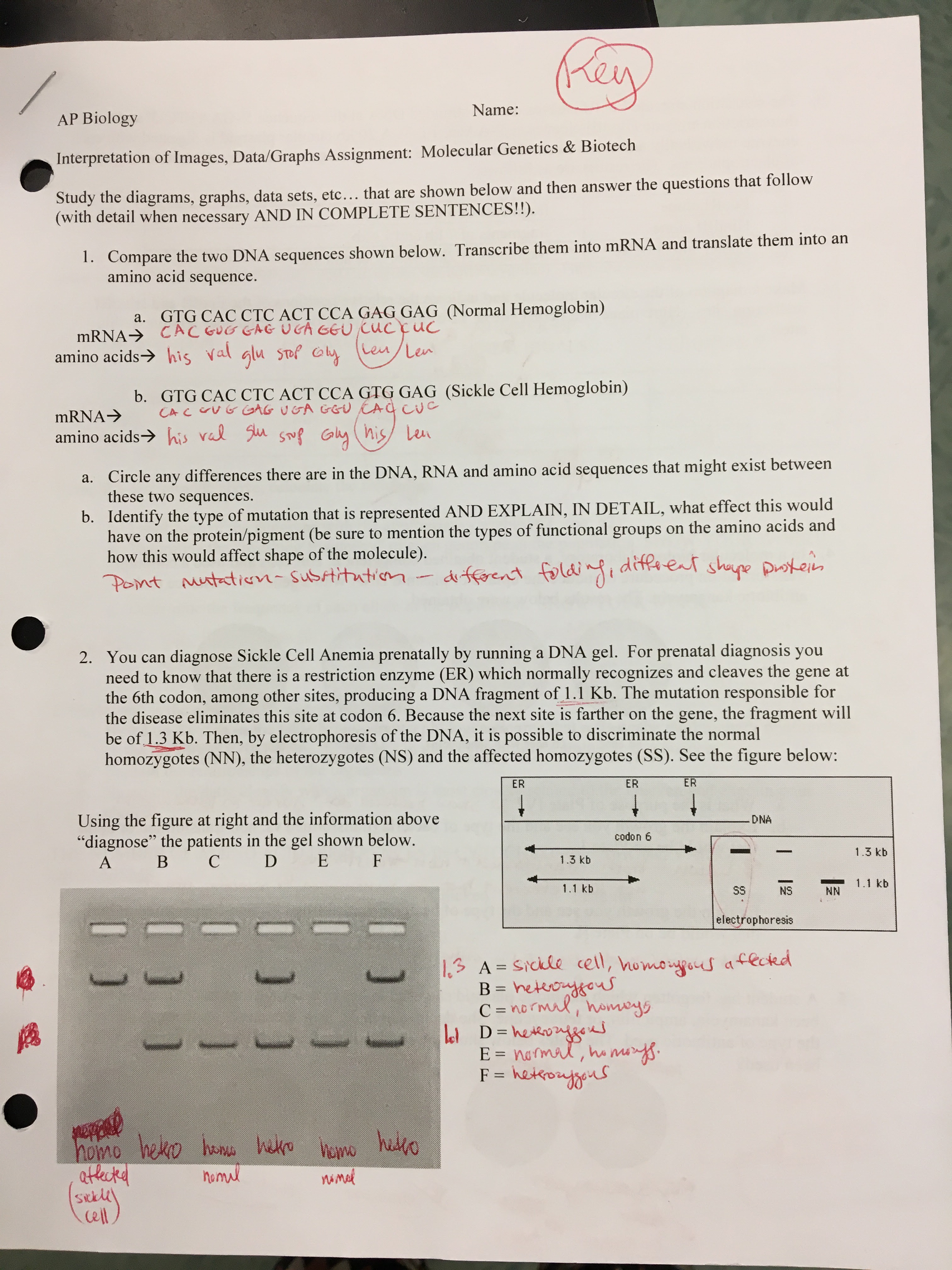 Check spelling or type a new query. Documents Mrs Oldendorf S Ap Biology