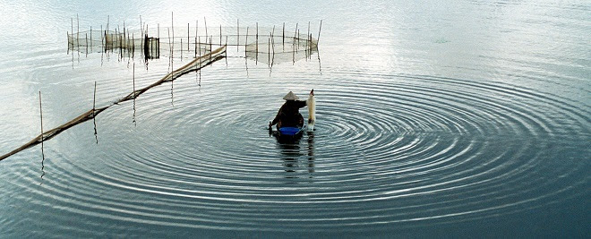 Vẻ đẹp quê hương qua ống kính bà cụ Sài Gòn