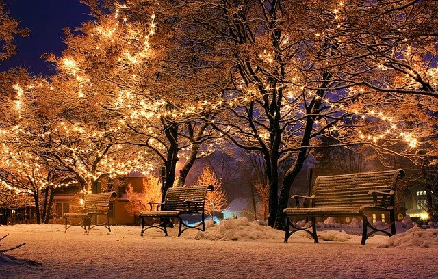 Photo of a snowy night scene, with fairy lights in the trees.