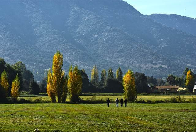 Our 2021 property listings offer a large selection of 31 vacation rentals around o'higgins (region). Things To See And Do In Region O Higgins Chile Travel Guide