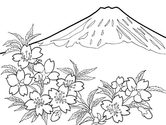 Japan Image 桜 イラスト 無料 塗り絵
