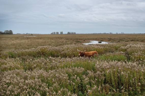 Wie de grond heeft, heeft de macht. Dus van wie is de grond in Nederland?