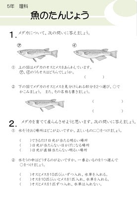 Hd限定小学5年 理科 最高のぬりえ