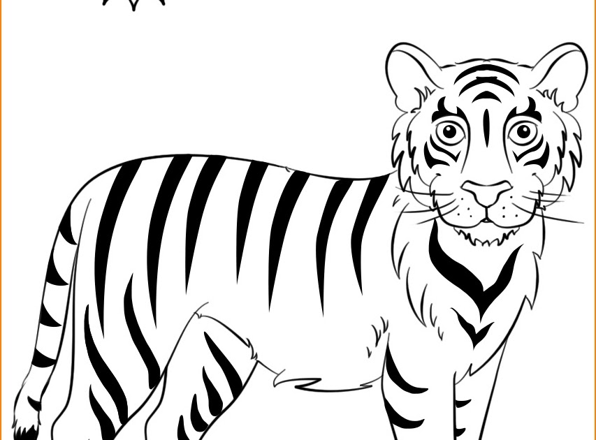  Sketsa  Gambar  Harimau Yang  Mudah  Contoh  Sketsa  Gambar 