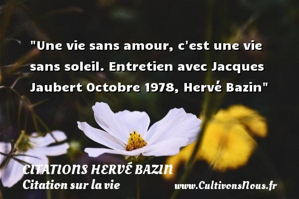 Image De Citation Citation Vie Sans Amour