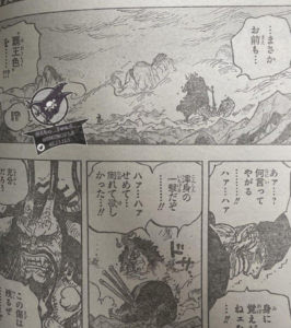 新しいコレクション ワンピース ゾロ 覇王色 ワンピース ゾロ 覇王色 Fighterlasker
